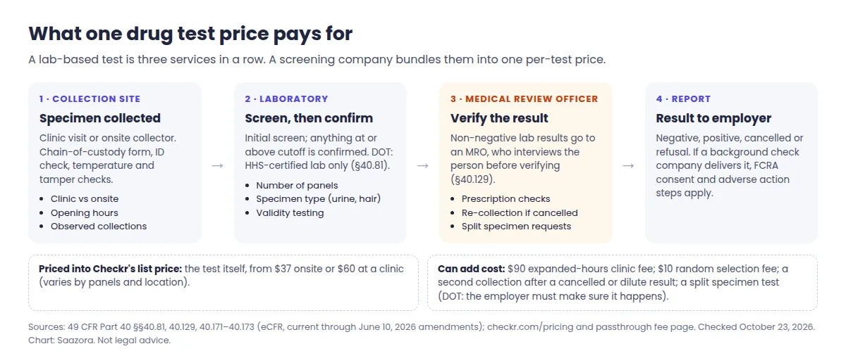 Diagram of the four stages behind a drug test price: collection site, laboratory screening and confirmation, Medical Review Officer verification and the report to the employer, with the fees that can add cost